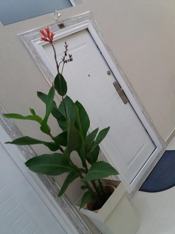 Atina Lux Hostel Leskovac  Dış mekan fotoğraf